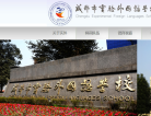 成都市实验外国语学校网站截图预览
