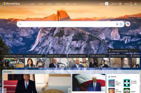 必应网站截图预览