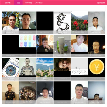 离异圈网站截图预览