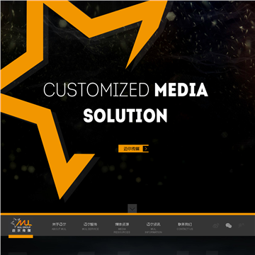 上海迈尔广告网站截图预览