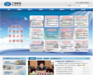三环集团公司网站截图预览
