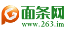 面条网