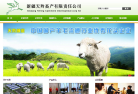 天羚绒业网站截图预览