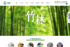竹林伟业网站截图预览